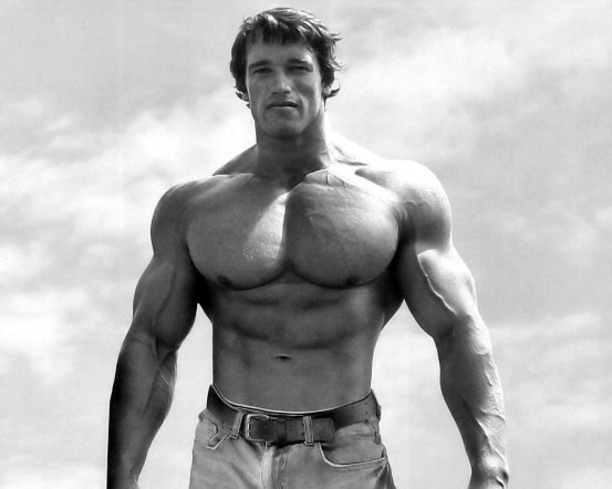 arnold-schwarzenegger-1016085298